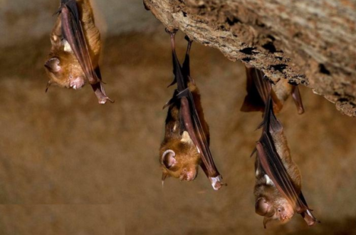 ppur8_underground_page ppur8_underground_page