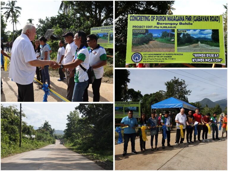 KONKRETONG FARM-TO-MARKET ROAD PARA SA MGA MAGSASAKA NG PUROK MASAGANA, BRGY. BAHILE