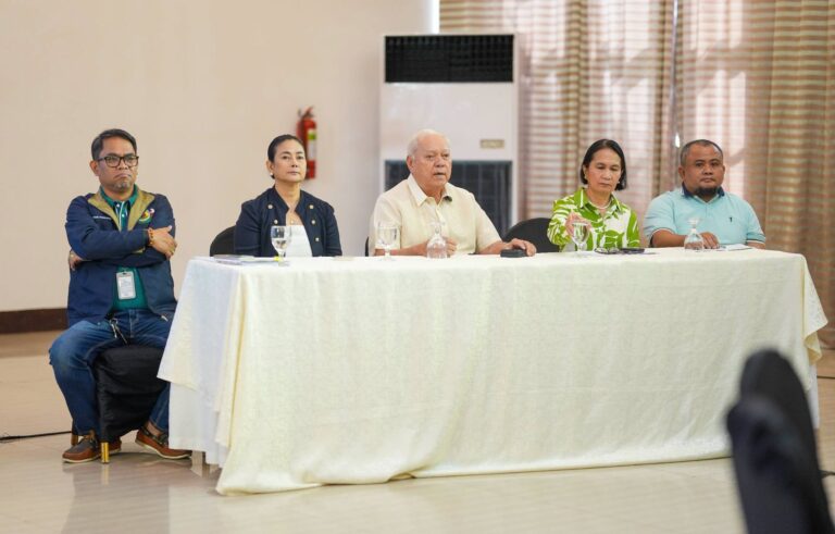 MAYOR BAYRON LAYED DOWN THE DIRECTION OF PUERTO PRINCESA FROM 2027 TO 2028